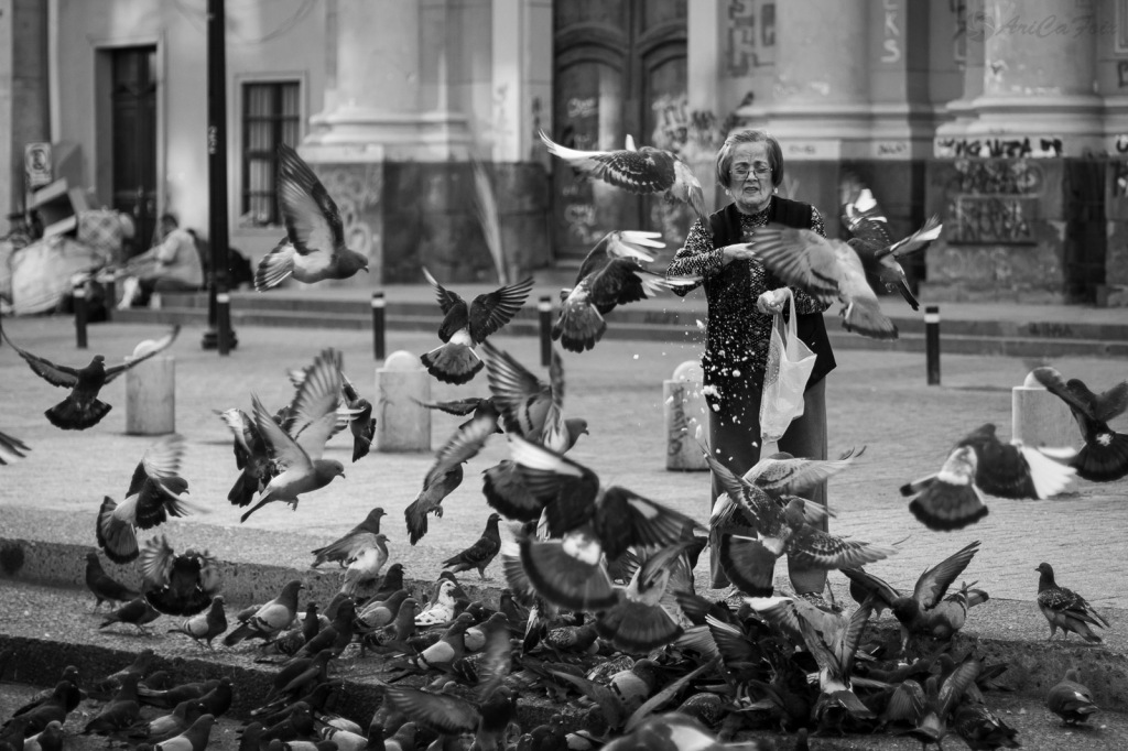 Una bandada de palomas rodea a una mujer que las alimenta en una plaza.